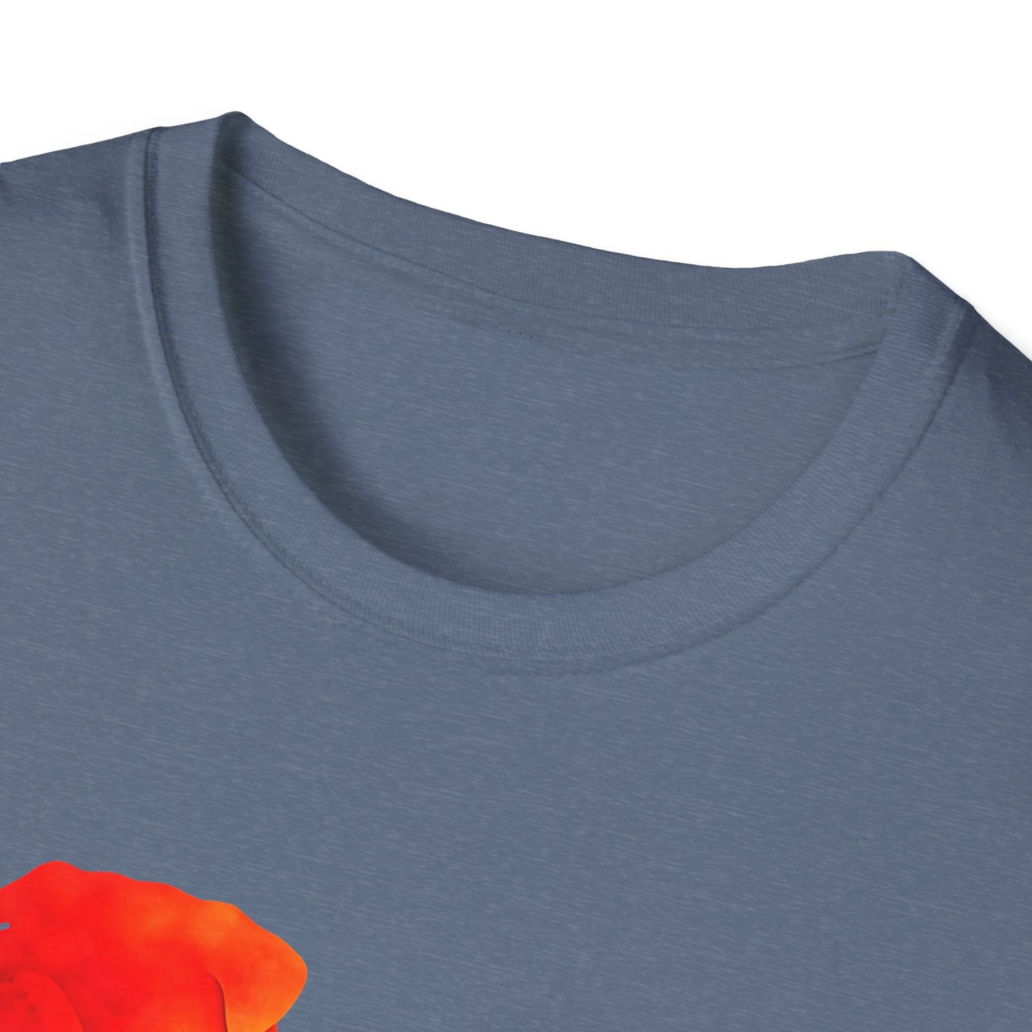 Bulldog Rainbow T-shirt