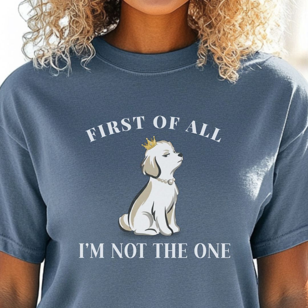 First of all — I’m Not the One — High Standards Energy T-SHIRT