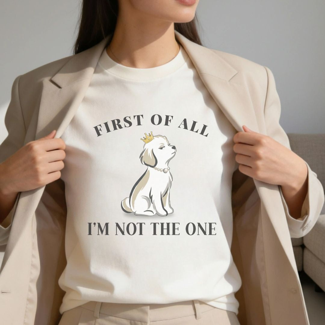First of all — I’m Not the One — High Standards Energy T-SHIRT