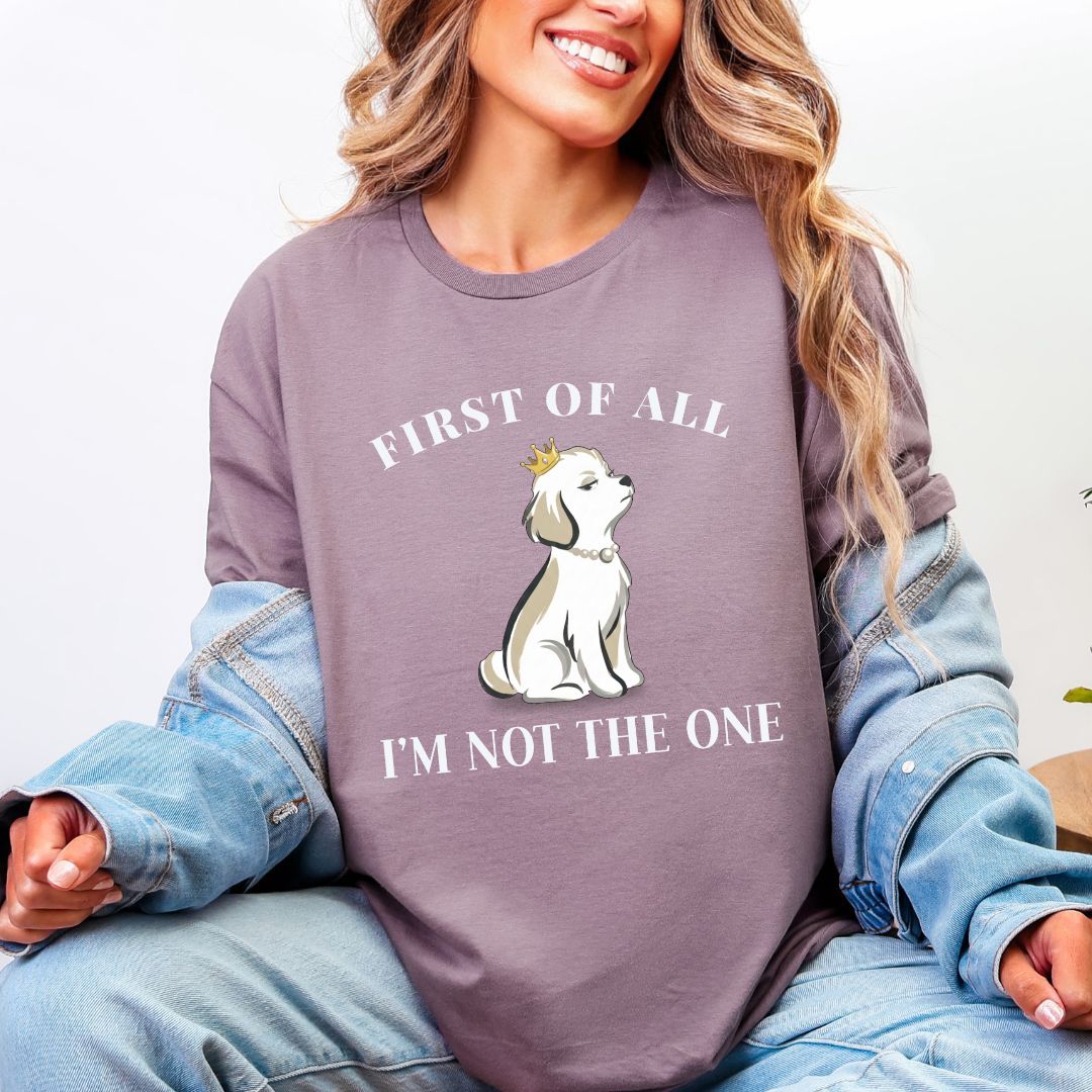 First of all — I’m Not the One — High Standards Energy T-SHIRT
