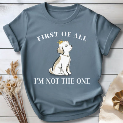 First of all — I’m Not the One — High Standards Energy T-SHIRT