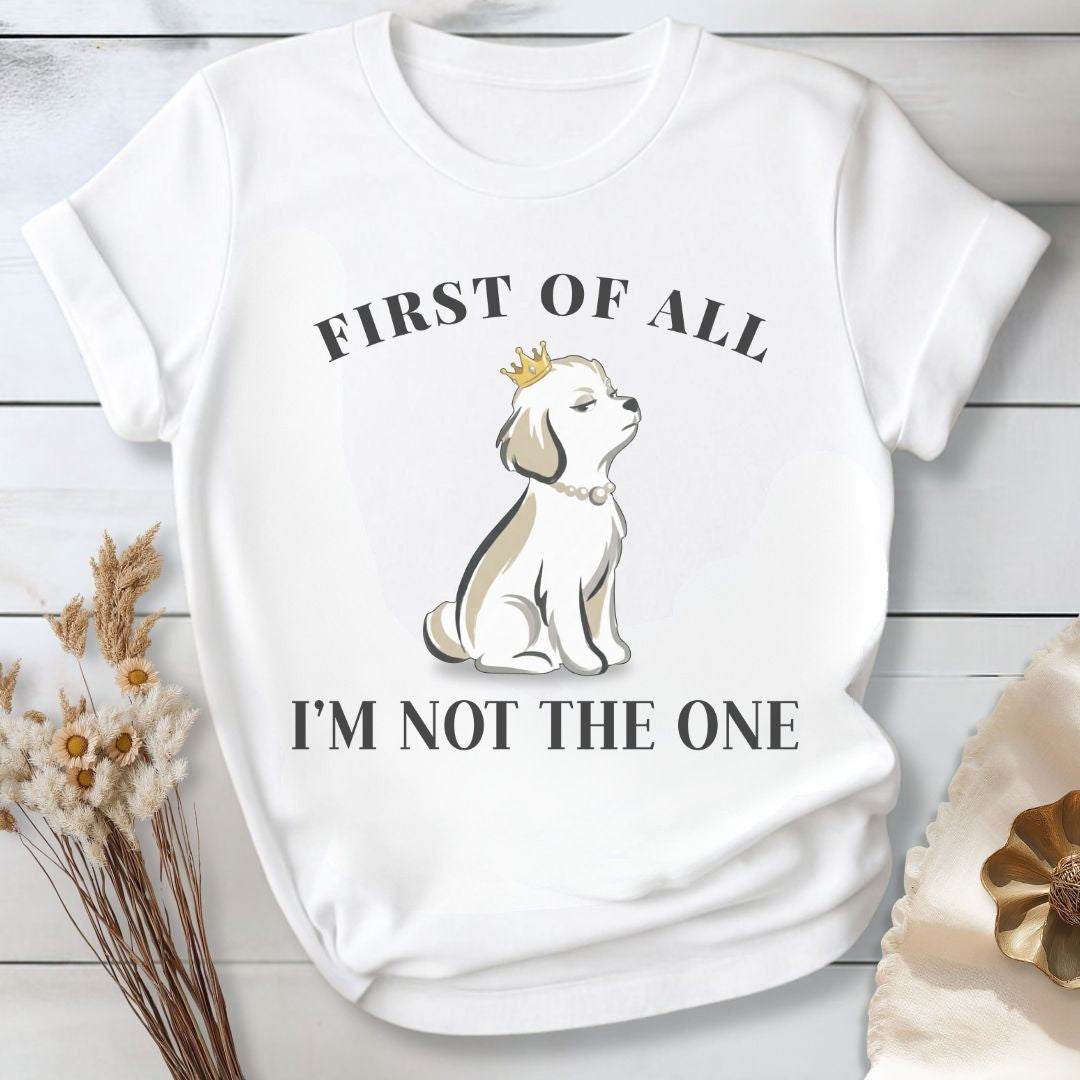First of all — I’m Not the One — High Standards Energy T-SHIRT